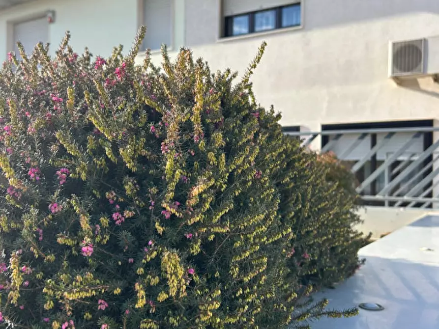 Immagine 62 di Villetta a schiera in vendita  a Lendinara