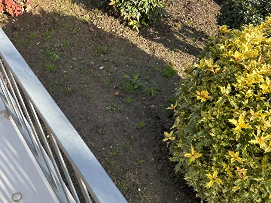 Immagine 65 di Villetta a schiera in vendita  a Lendinara