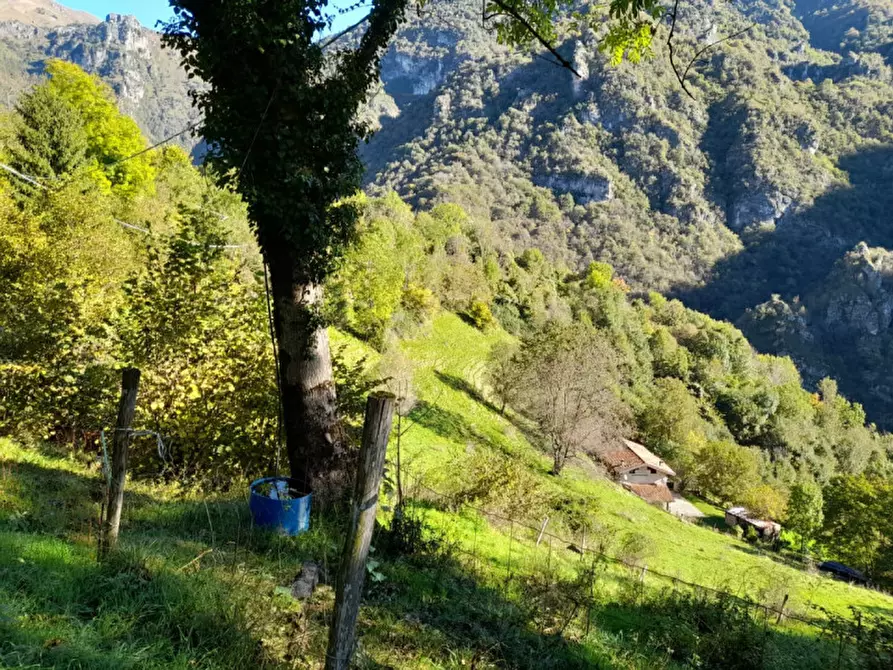 Immagine 3 di Rustico / casale in vendita  a Lavenone