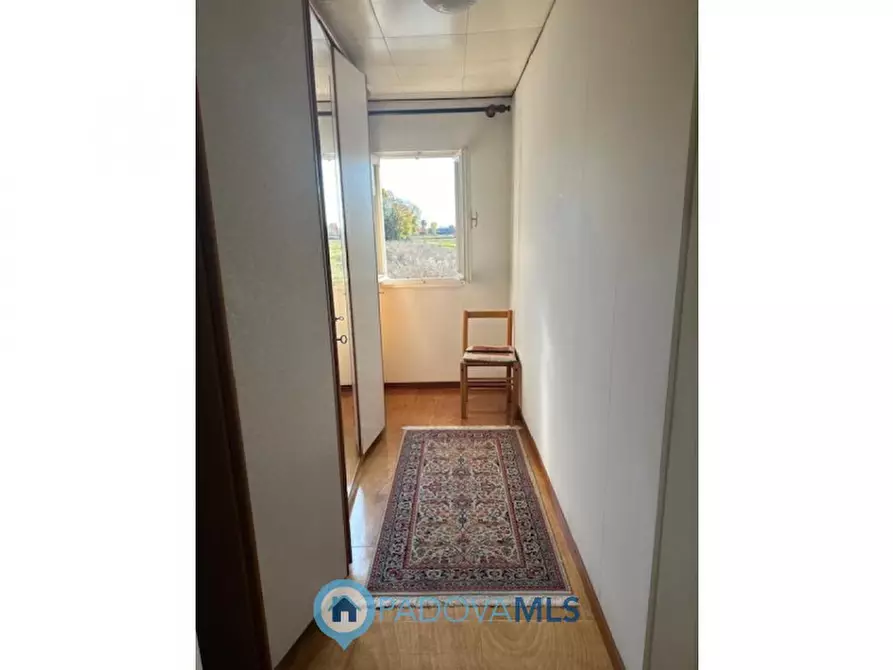 Immagine 13 di Casa bifamiliare in vendita  in via rudella a Vigonza