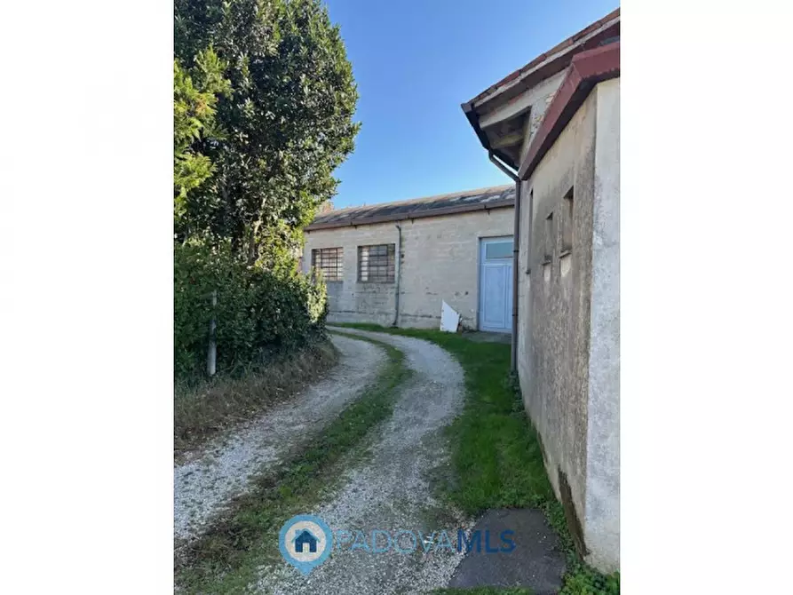 Immagine 21 di Casa bifamiliare in vendita  in via rudella a Vigonza
