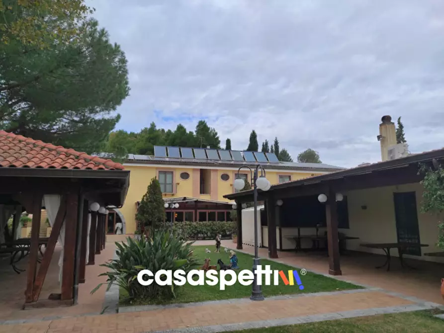Immagine 2 di Agriturismo in vendita  in Località Profeta a Caraffa Di Catanzaro