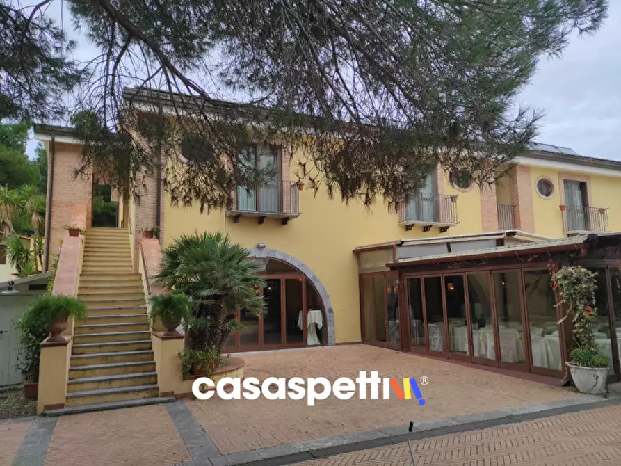 Immagine 3 di Agriturismo in vendita  in Località Profeta a Caraffa Di Catanzaro