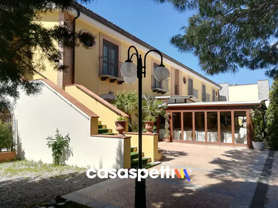 Immagine 5 di Agriturismo in vendita  in Località Profeta a Caraffa Di Catanzaro