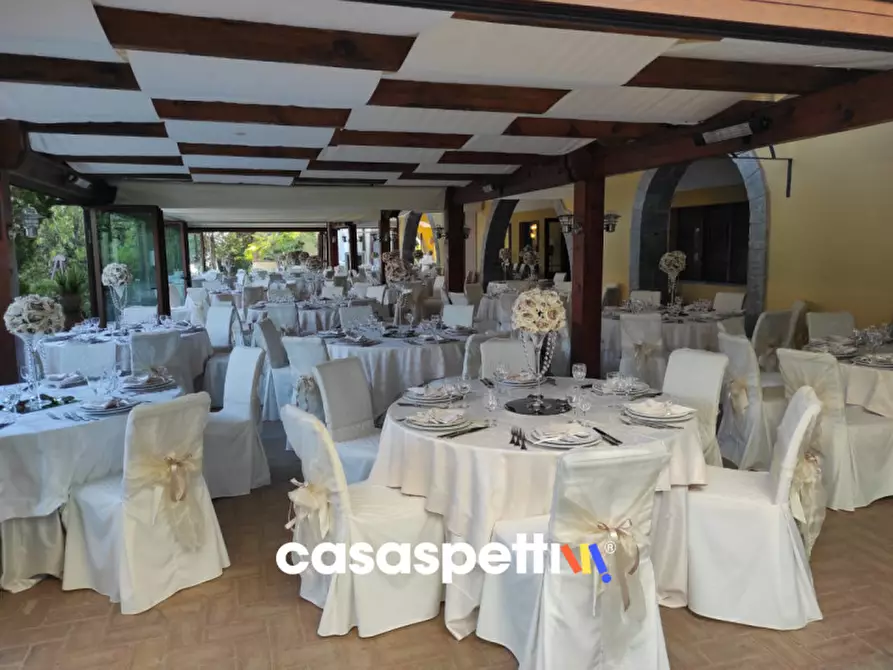 Immagine 6 di Agriturismo in vendita  in Località Profeta a Caraffa Di Catanzaro