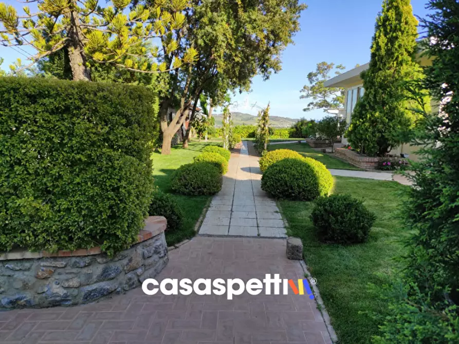 Immagine 9 di Agriturismo in vendita  in Località Profeta a Caraffa Di Catanzaro