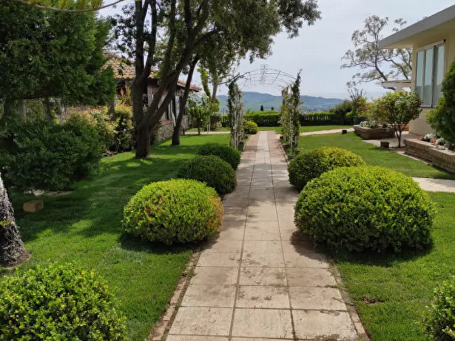 Immagine 11 di Agriturismo in vendita  in Località Profeta a Caraffa Di Catanzaro