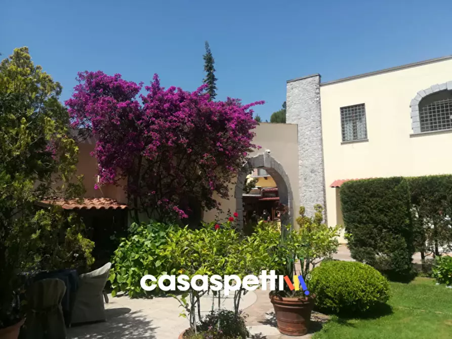 Immagine 13 di Agriturismo in vendita  in Località Profeta a Caraffa Di Catanzaro