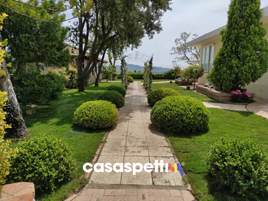 Immagine 21 di Agriturismo in vendita  in Località Profeta a Caraffa Di Catanzaro