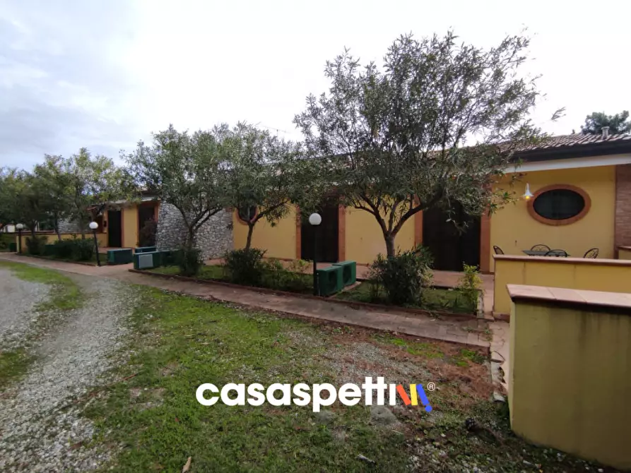 Immagine 35 di Agriturismo in vendita  in Località Profeta a Caraffa Di Catanzaro