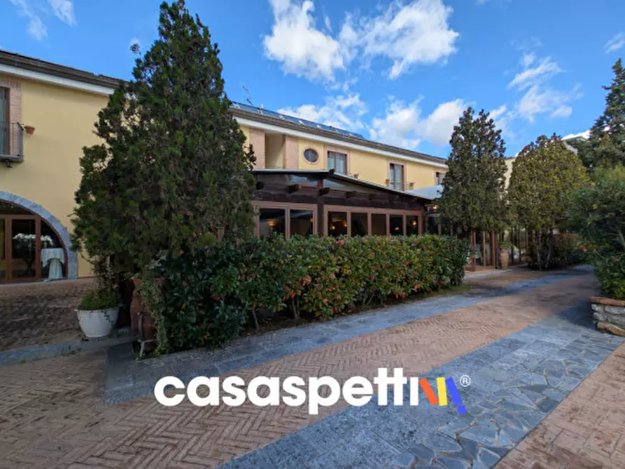 Immagine 66 di Agriturismo in vendita  in Località Profeta a Caraffa Di Catanzaro