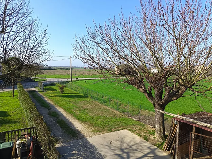 Immagine 34 di Casa bifamiliare in vendita  in Via Frassignoni a Brugine