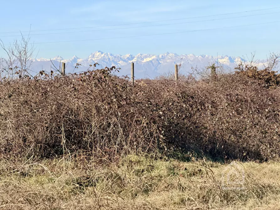 Immagine 6 di Terreno in vendita  in Via Giacomo Matteotti 2 a Verolengo