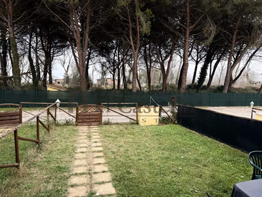 Immagine 2 di Appartamento in vendita  in Rigutini a Castiglione Del Lago