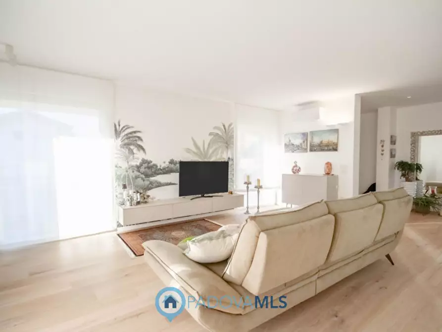 Immagine 22 di Villa in vendita  in Via Giotto, 33 a Borgoricco