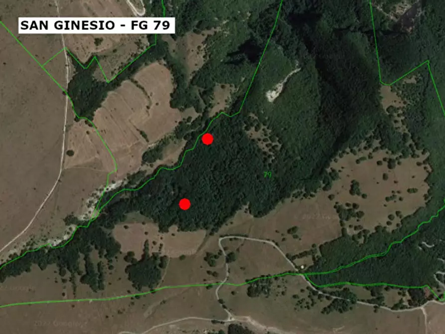 Immagine 4 di Terreno in vendita  in San Ginesio, N. snc a San Ginesio