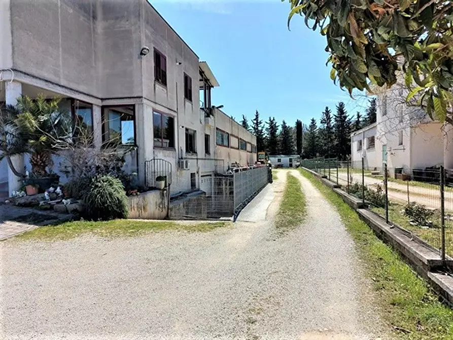 Immagine 4 di Capannone industriale in vendita  in Via Buscalferri, N. 3 a Caldarola