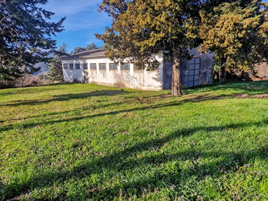 Immagine 4 di Terreno in vendita  in San Lorenzo in Torre a Urbania