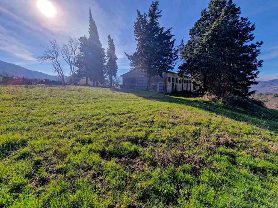 Immagine 5 di Terreno in vendita  in San Lorenzo in Torre a Urbania