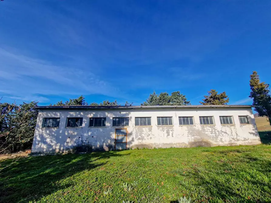 Immagine 7 di Terreno in vendita  in San Lorenzo in Torre a Urbania