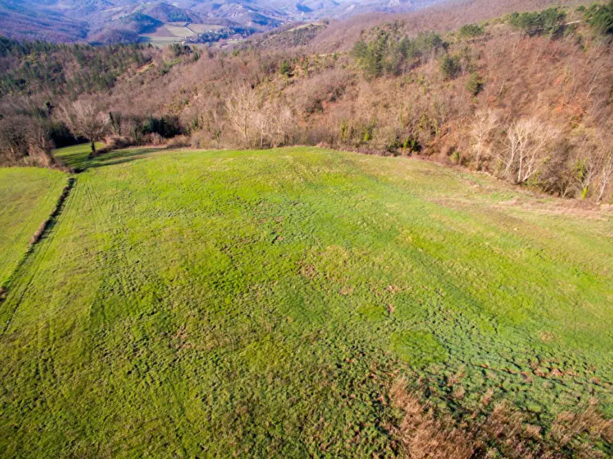 Immagine 9 di Terreno in vendita  in San Lorenzo in Torre a Urbania