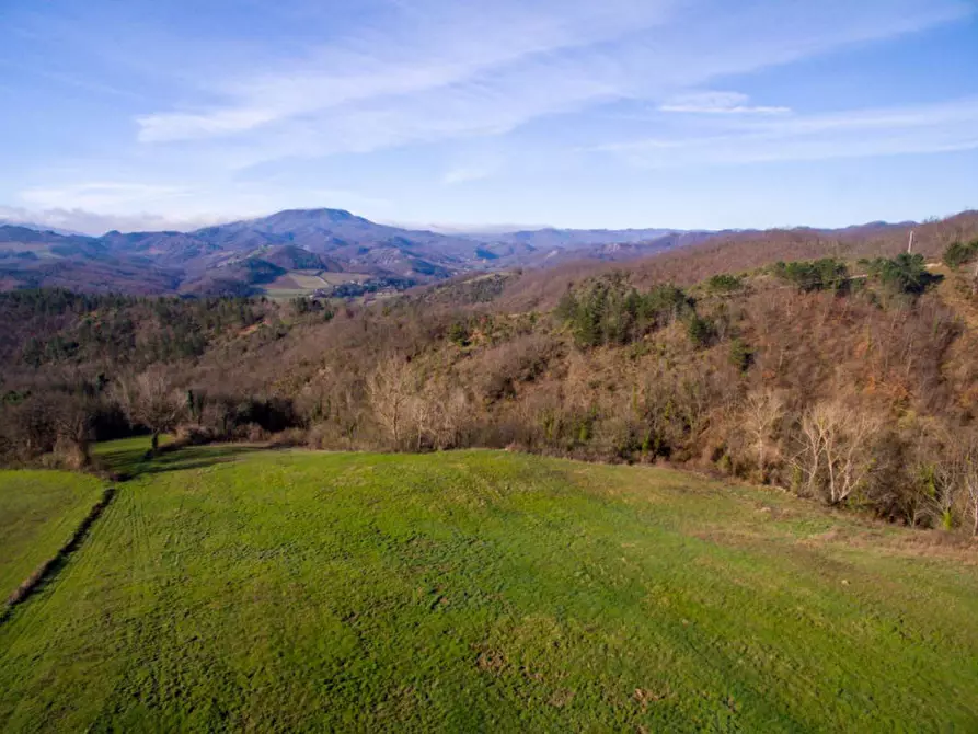 Immagine 10 di Terreno in vendita  in San Lorenzo in Torre a Urbania
