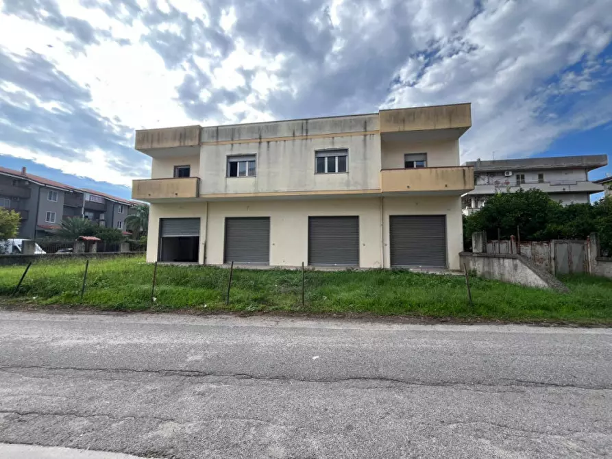 Immagine 2 di Palazzo in vendita  in Via Antonio Gramsci a Davoli