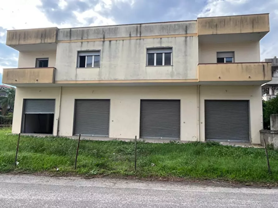 Immagine 3 di Palazzo in vendita  in Via Antonio Gramsci a Davoli