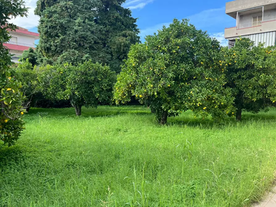 Immagine 10 di Palazzo in vendita  in Via Antonio Gramsci a Davoli