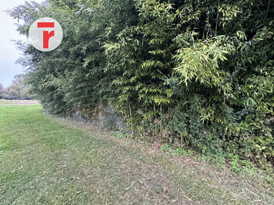 Immagine 3 di Rustico / casale in vendita  in via boschi a Resana