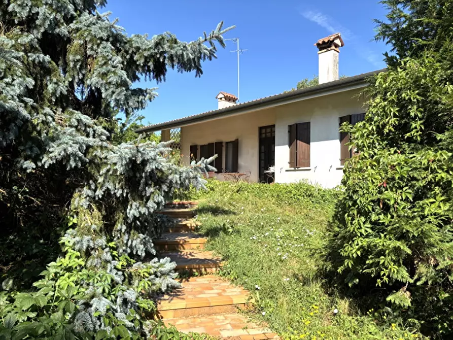 Immagine 1 di Casa indipendente in vendita  in Via Giacomo Matteotti a Maser