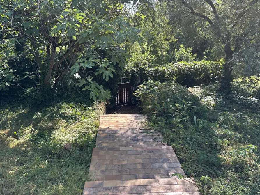 Immagine 4 di Casa indipendente in vendita  in Via Giacomo Matteotti a Maser