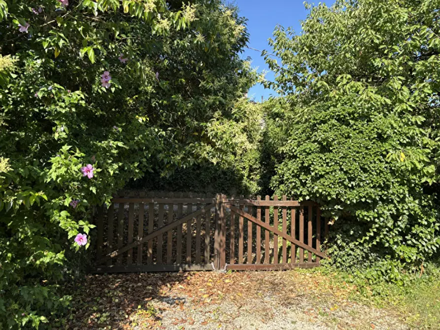 Immagine 5 di Casa indipendente in vendita  in Via Giacomo Matteotti a Maser