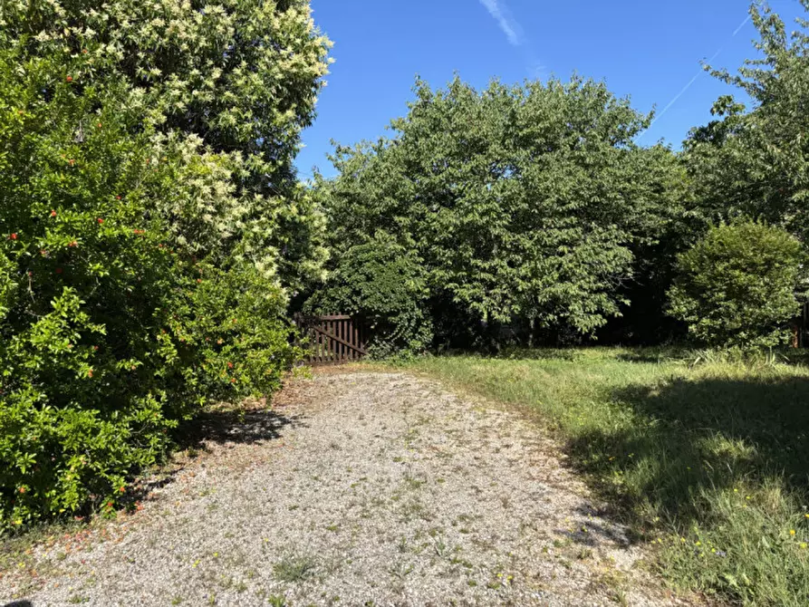 Immagine 6 di Casa indipendente in vendita  in Via Giacomo Matteotti a Maser