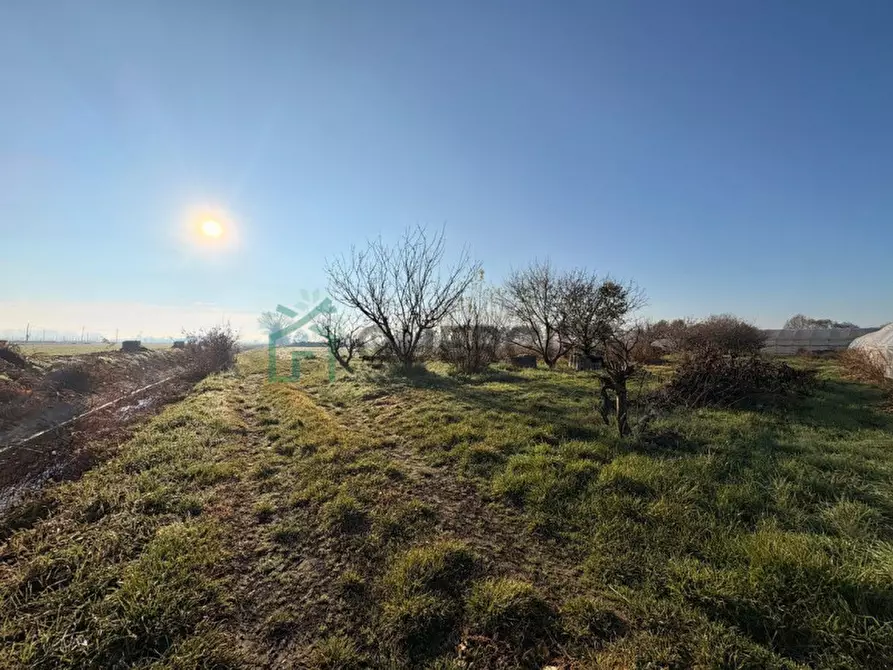 Immagine 20 di Agriturismo in vendita  in Via Pozze a Oppeano