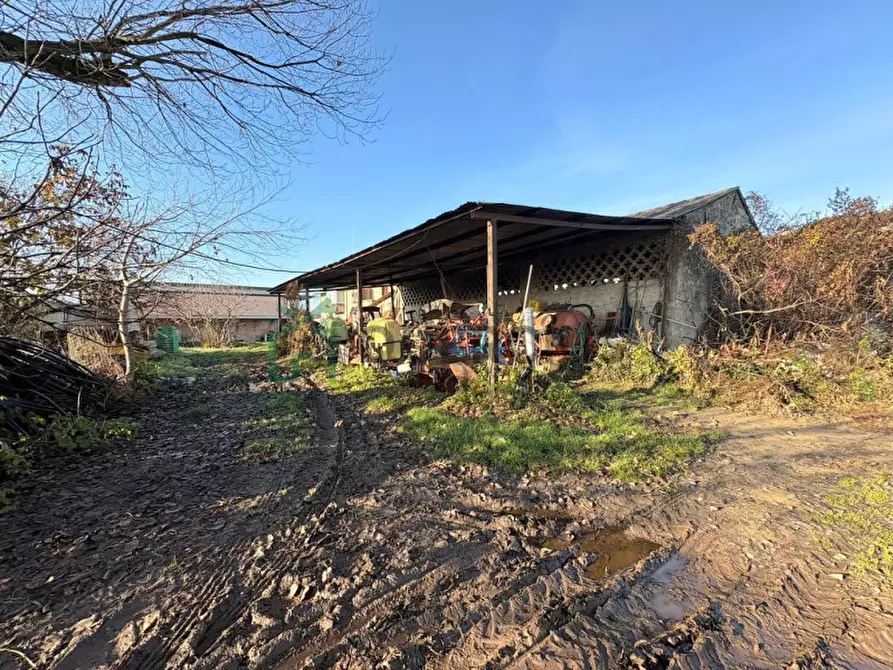 Immagine 21 di Agriturismo in vendita  in Via Pozze a Oppeano