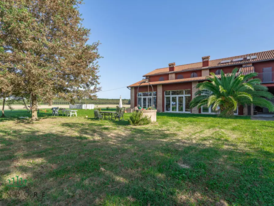 Immagine 3 di Appartamento in vendita  in VIA VALLE a Molinella