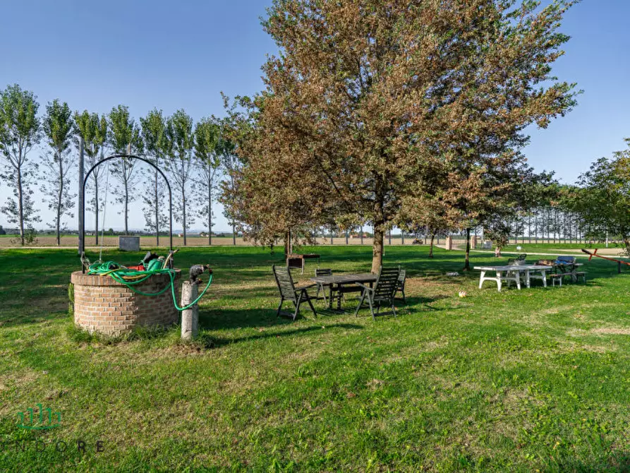 Immagine 5 di Appartamento in vendita  in VIA VALLE a Molinella