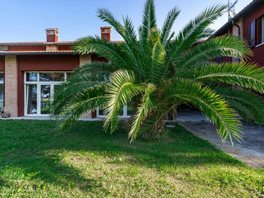 Immagine 5 di Appartamento in vendita  in VIA VALLE a Molinella