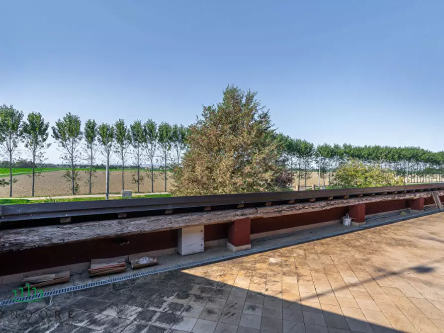 Immagine 34 di Appartamento in vendita  in VIA VALLE a Molinella