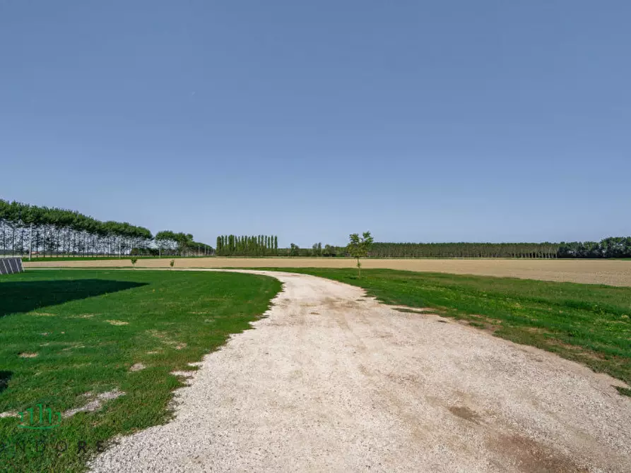 Immagine 50 di Appartamento in vendita  in VIA VALLE a Molinella