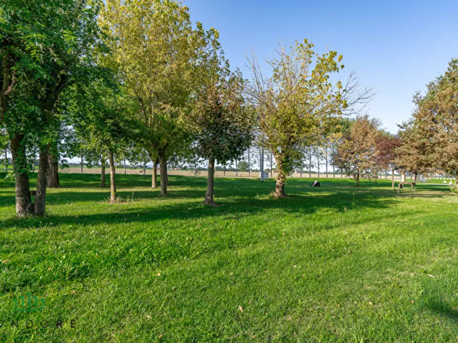 Immagine 56 di Appartamento in vendita  in VIA VALLE a Molinella