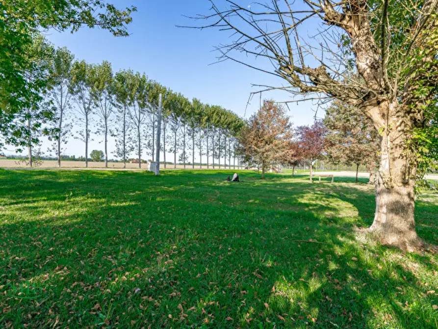 Immagine 57 di Appartamento in vendita  in VIA VALLE a Molinella