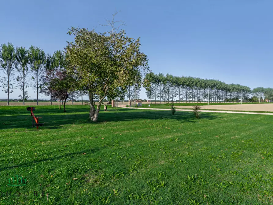 Immagine 60 di Appartamento in vendita  in VIA VALLE a Molinella