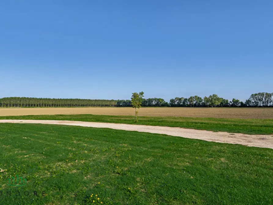Immagine 61 di Appartamento in vendita  in VIA VALLE a Molinella