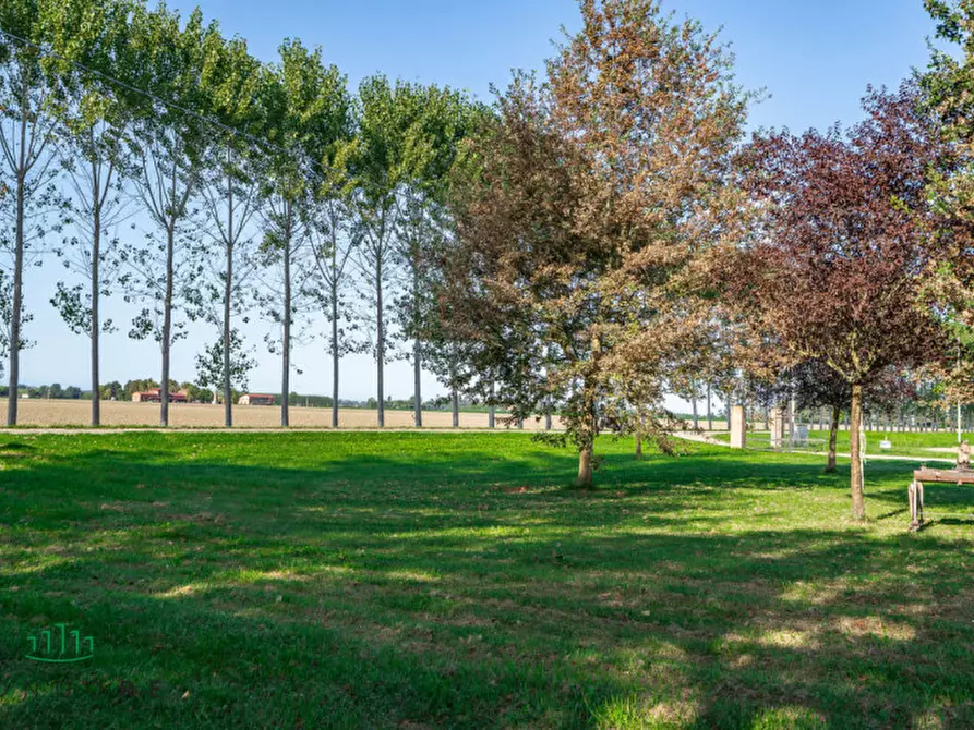 Immagine 62 di Appartamento in vendita  in VIA VALLE a Molinella