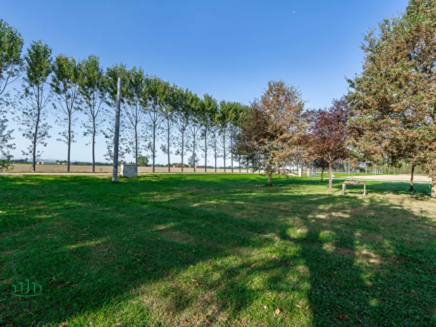 Immagine 63 di Appartamento in vendita  in VIA VALLE a Molinella