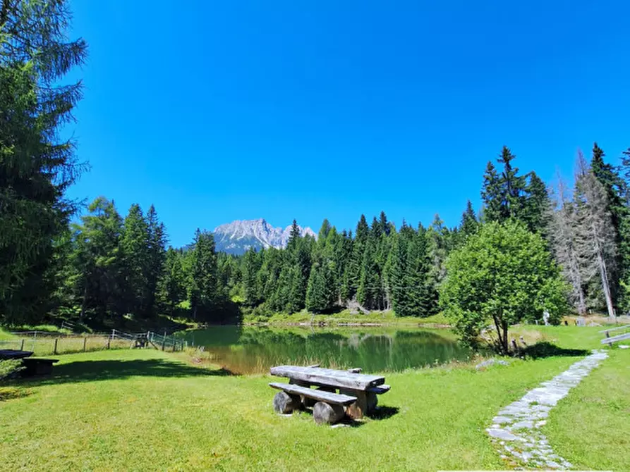 Immagine 8 di Villa in vendita  a Auronzo Di Cadore