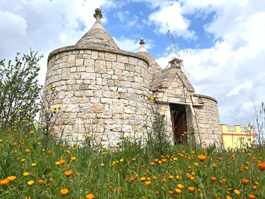 Immagine 10 di Rustico / casale in vendita  a Martina Franca