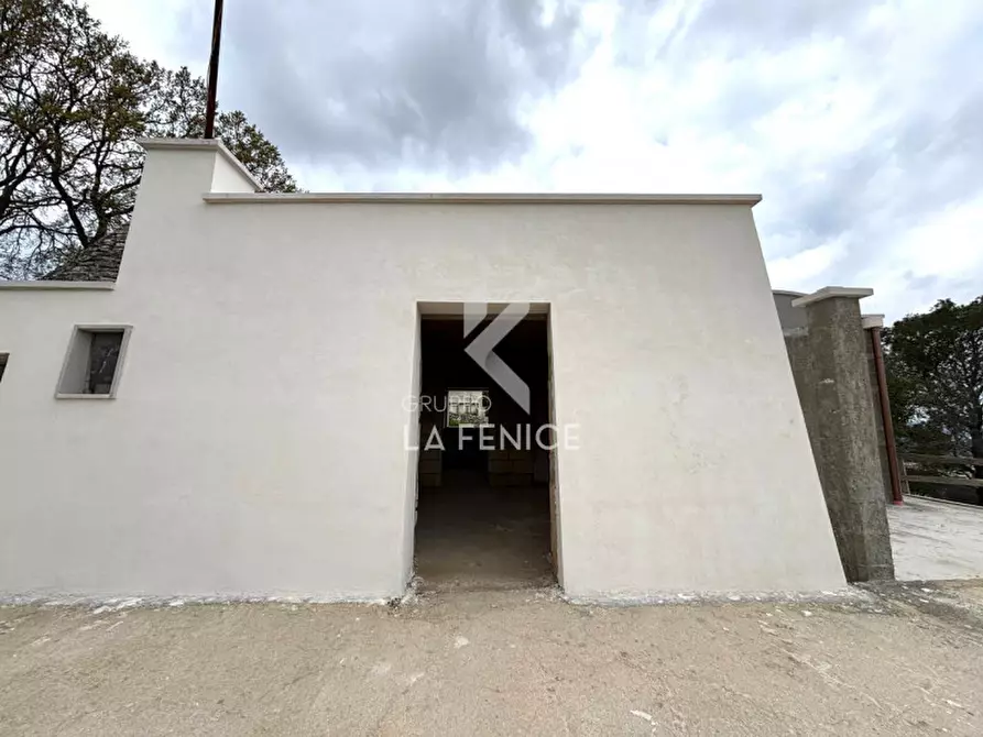 Immagine 7 di Rustico / casale in vendita  in strada monticello, 56 a Martina Franca